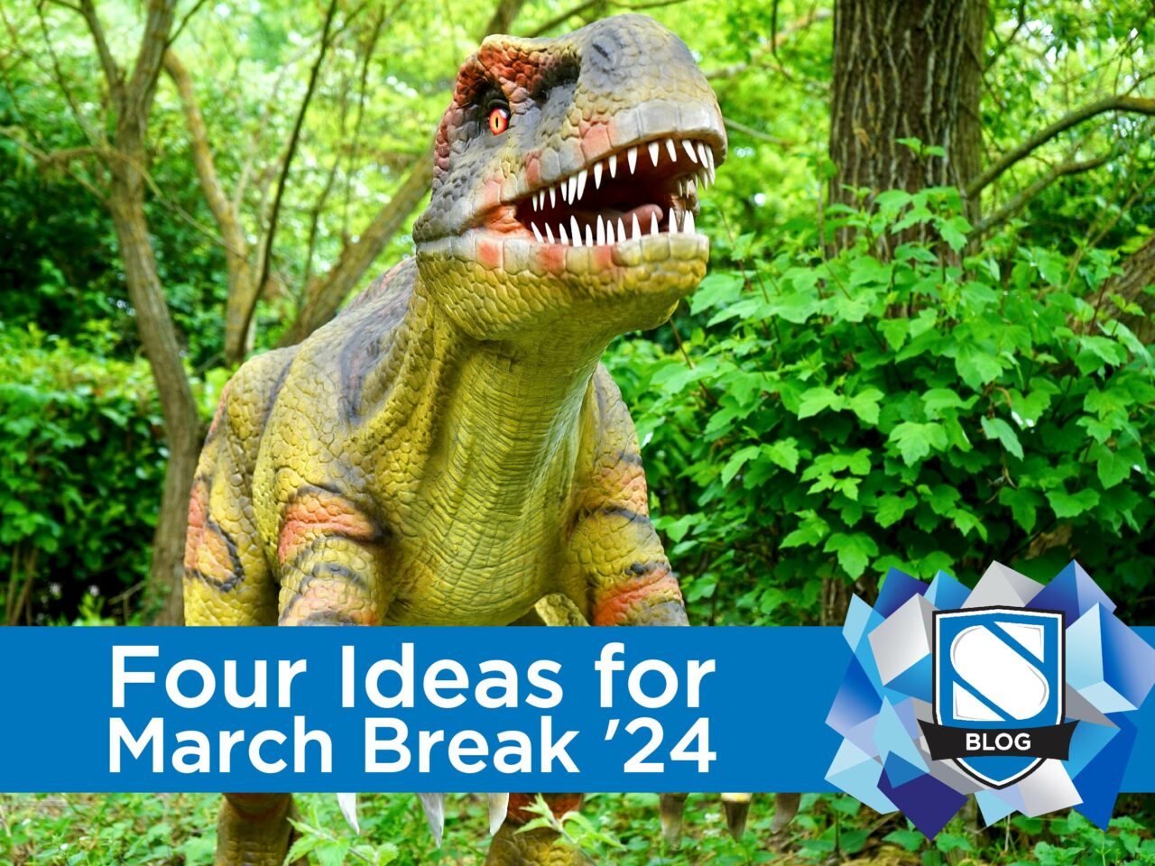 March Break Ideas in Waterloo Region Staebler Insurance